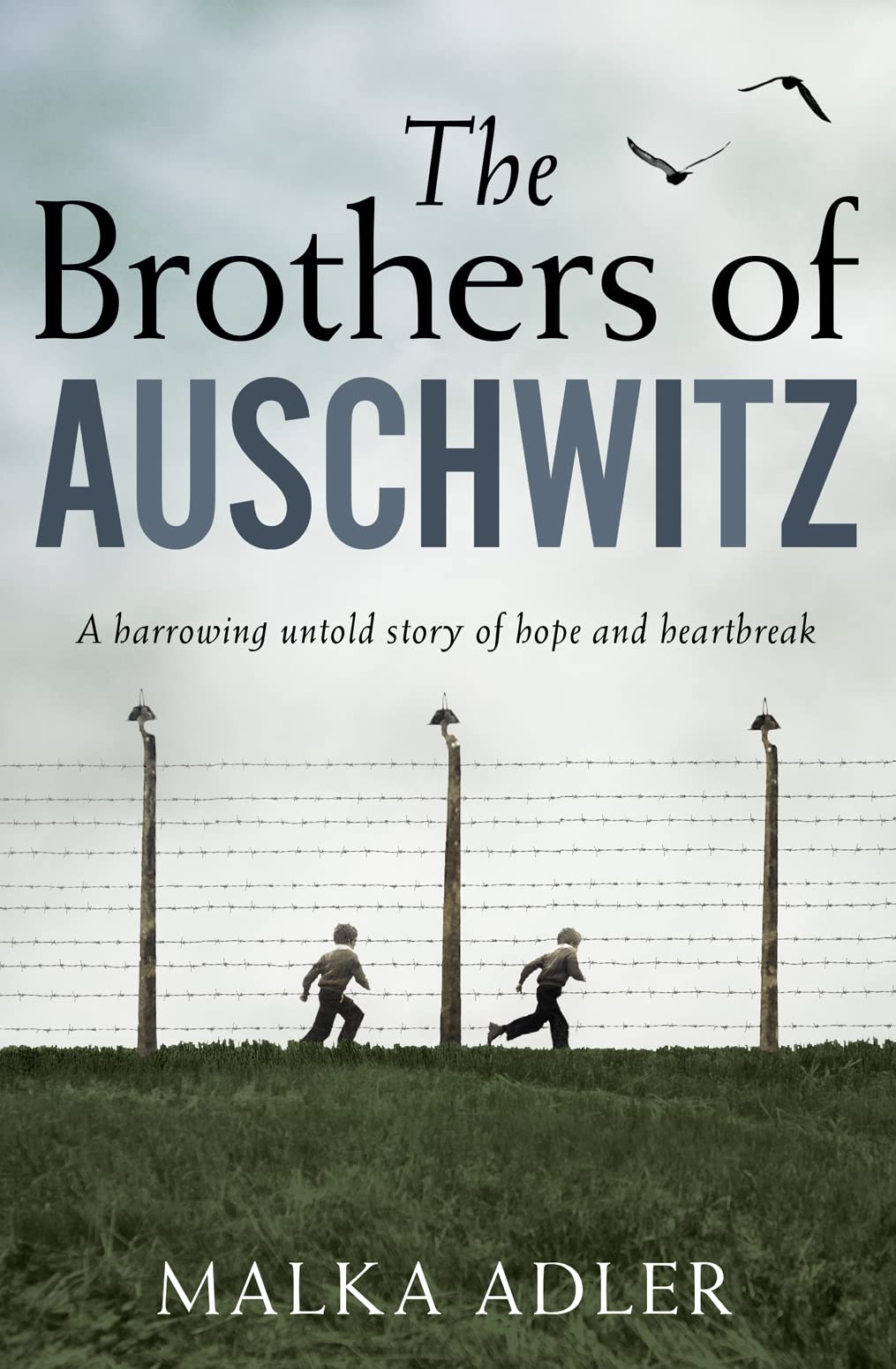 The Brothers of Auschwitz: A heartbreaking and unforgettable historical novel based on an untold true story