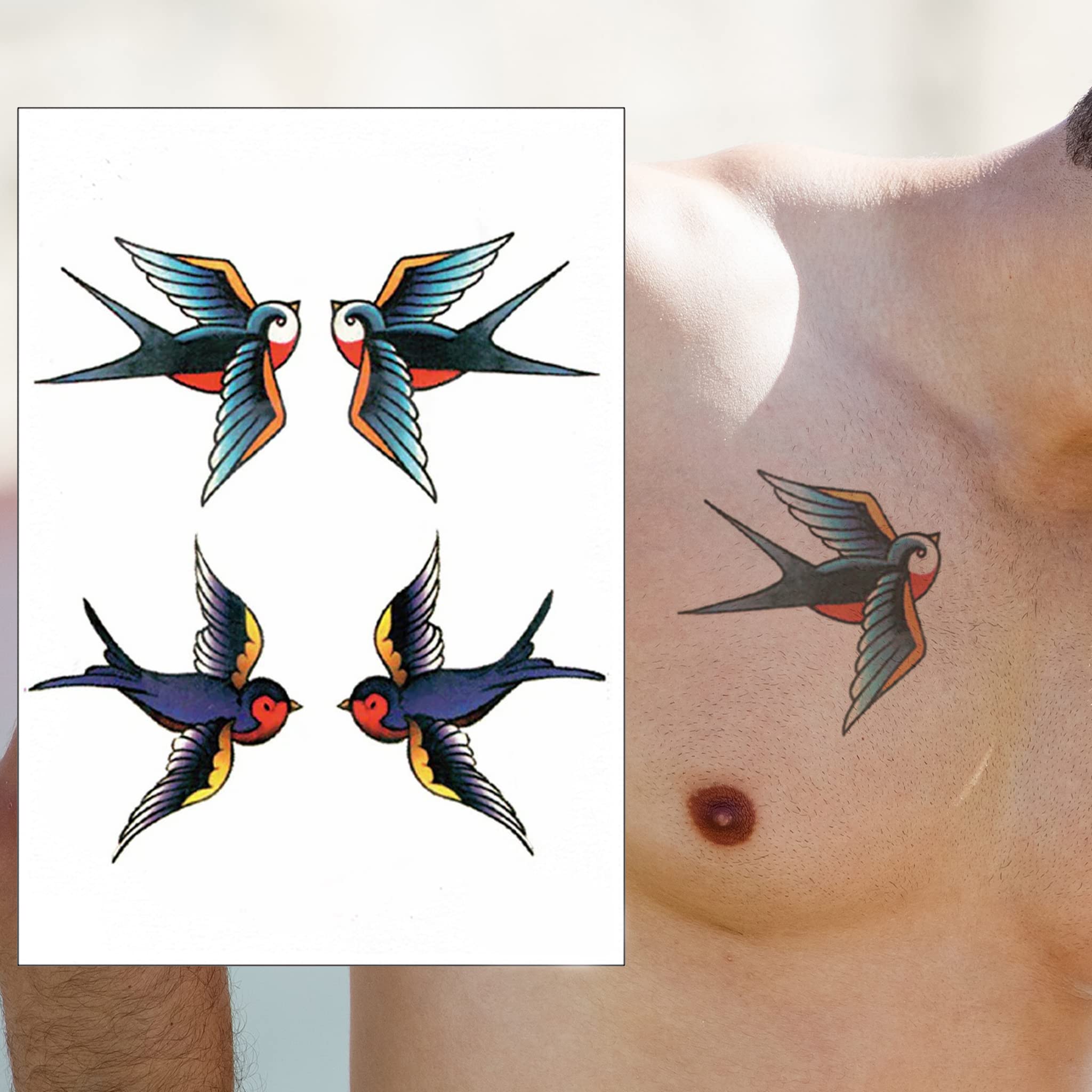 Traditional Sparrow Drawing Hand Drawn Of Swallow Bird Outline Royalty