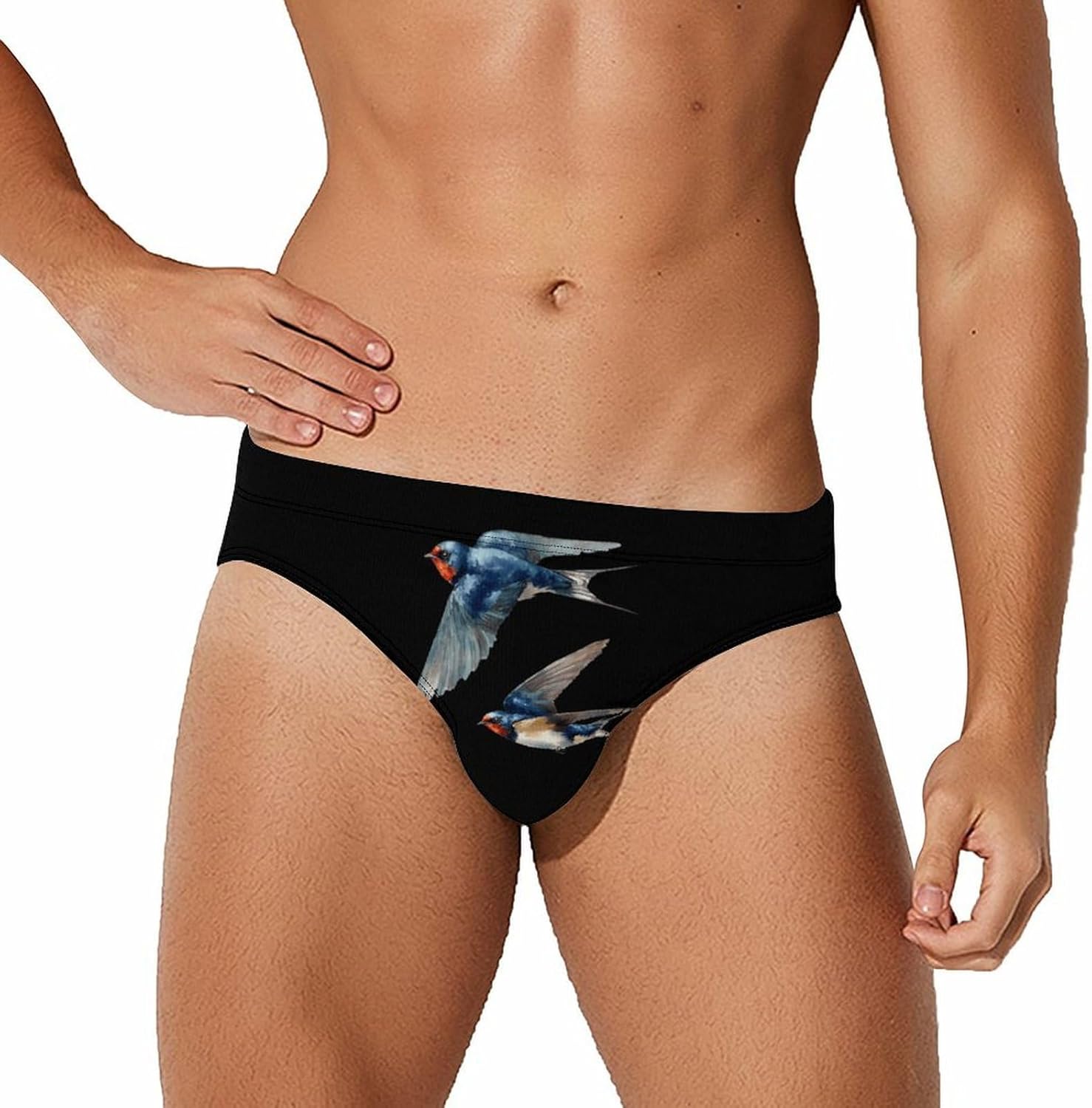 Swallows Flying Birds Men's Swimwear Bikini Swimming Briefs Stretchy Swimsuits Board Surf Shorts Trunks