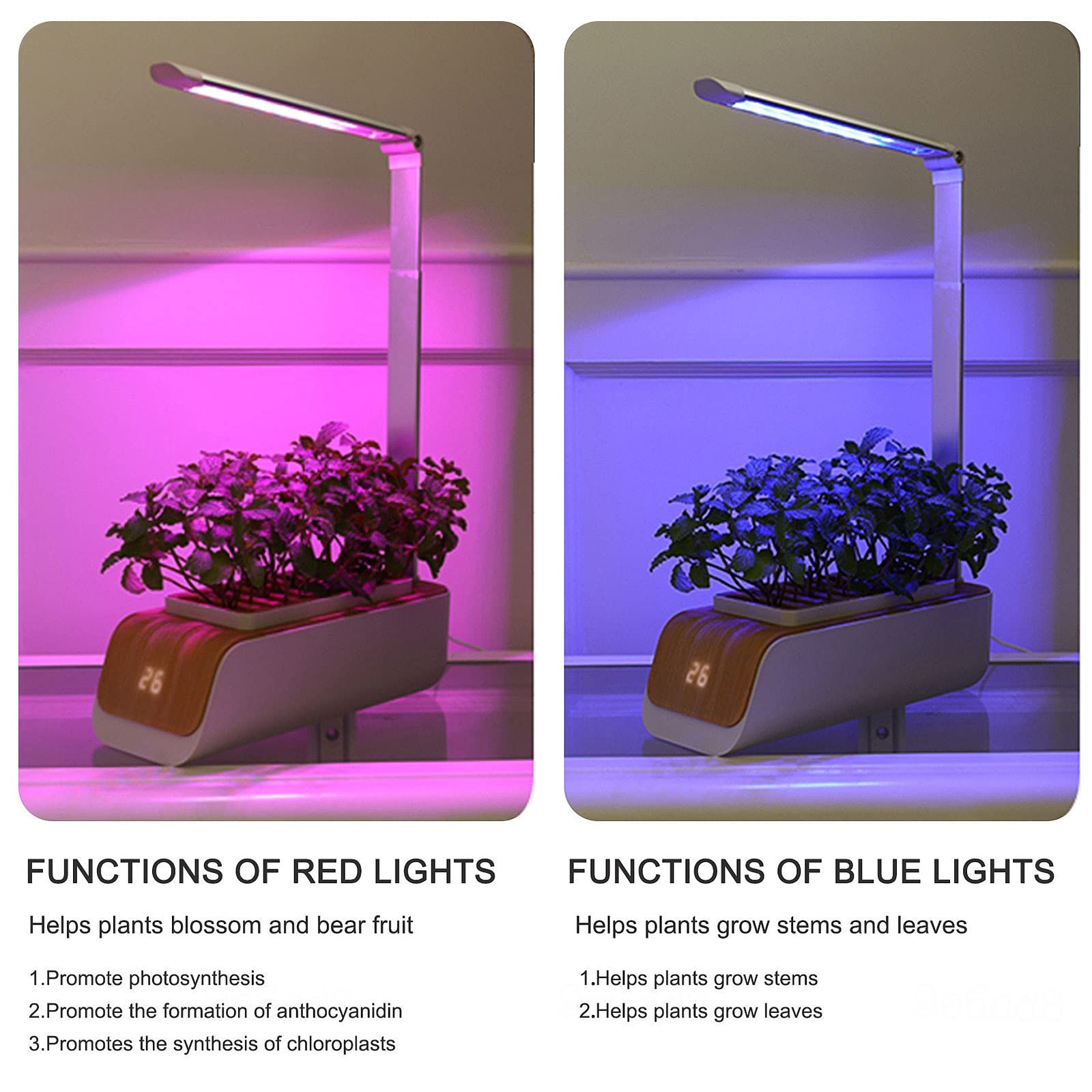 Système de Culture hydroponique Complet, lumières de Plantes pour l'invite du Niveau d'eau des Plantes, Hauteur réglable, kit de Culture d'intérieur, pour Le Jardinage des Plantes