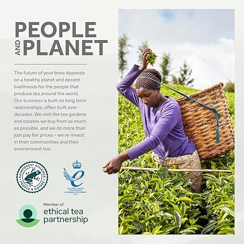 Miniatura 5 de Bolsitas de té Yorkshire de Taylors of Harrogate