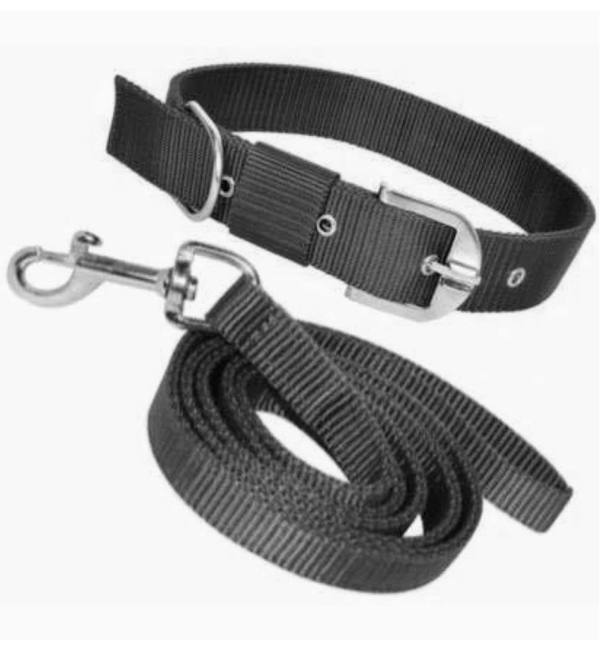 Royal Feline Dog Collar and Leash Set for Small Dogs | Dog Leash and Collar Set for Small Breed Dogs |1.5 metres Leash (Small, Black) (B0BTXBSJTV) Amazon Price History, Amazon Price Tracker