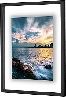 ONE WALL 16x20 Inch Floating Frame, Black Wood Double Glass Float Picture Frame Display 16x20/11x14 Inch Photos or Plant o...