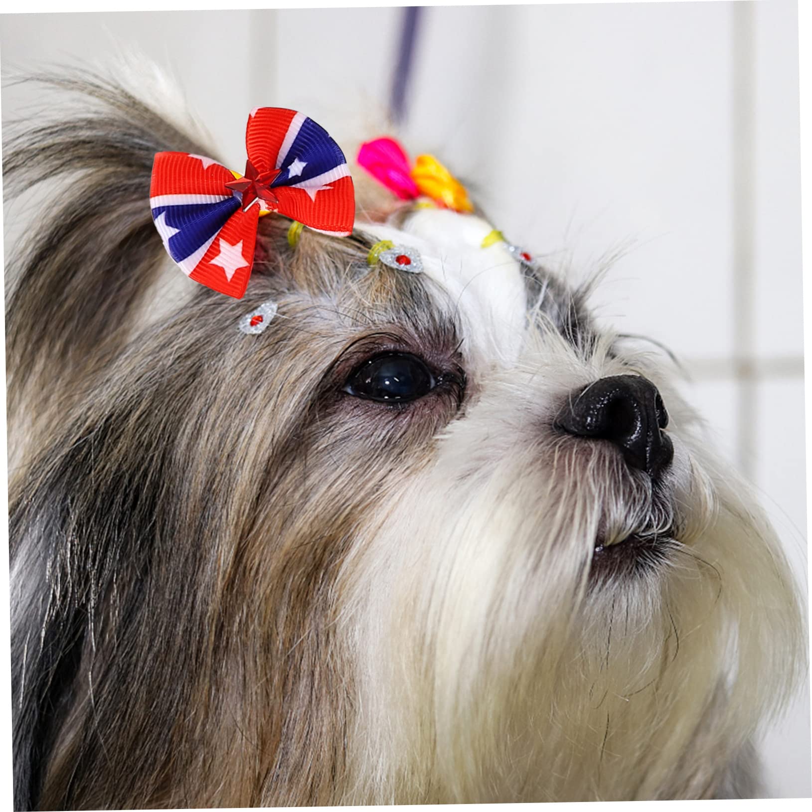 Set Di 20 Elastici Floreali Per Cani Piccoli, Antiscivolo E Leggeri Per Feste E Quotidianità