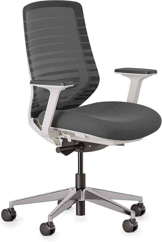 Branch ergonomic office chair