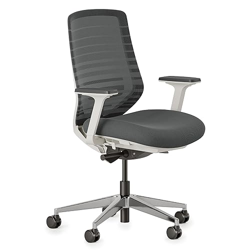 Ergonomic Chair - A Versatile Desk Chair with Adjustable Lumbar