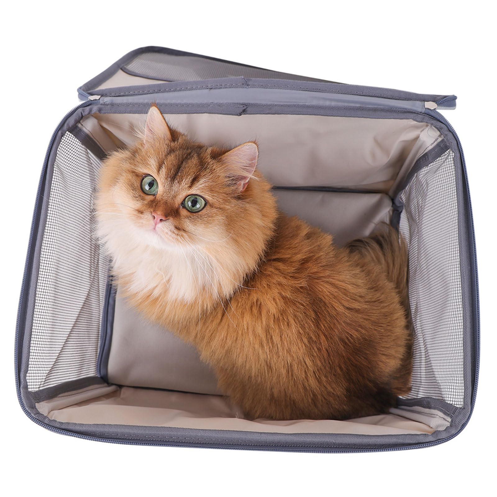 Trasportini per gatti per seggiolino auto Lettino per cani Trasportini per auto da viaggio all ' aperto Sedile turistico Borsa turistica con tasche multiple Borse da viaggio per animali domestici
