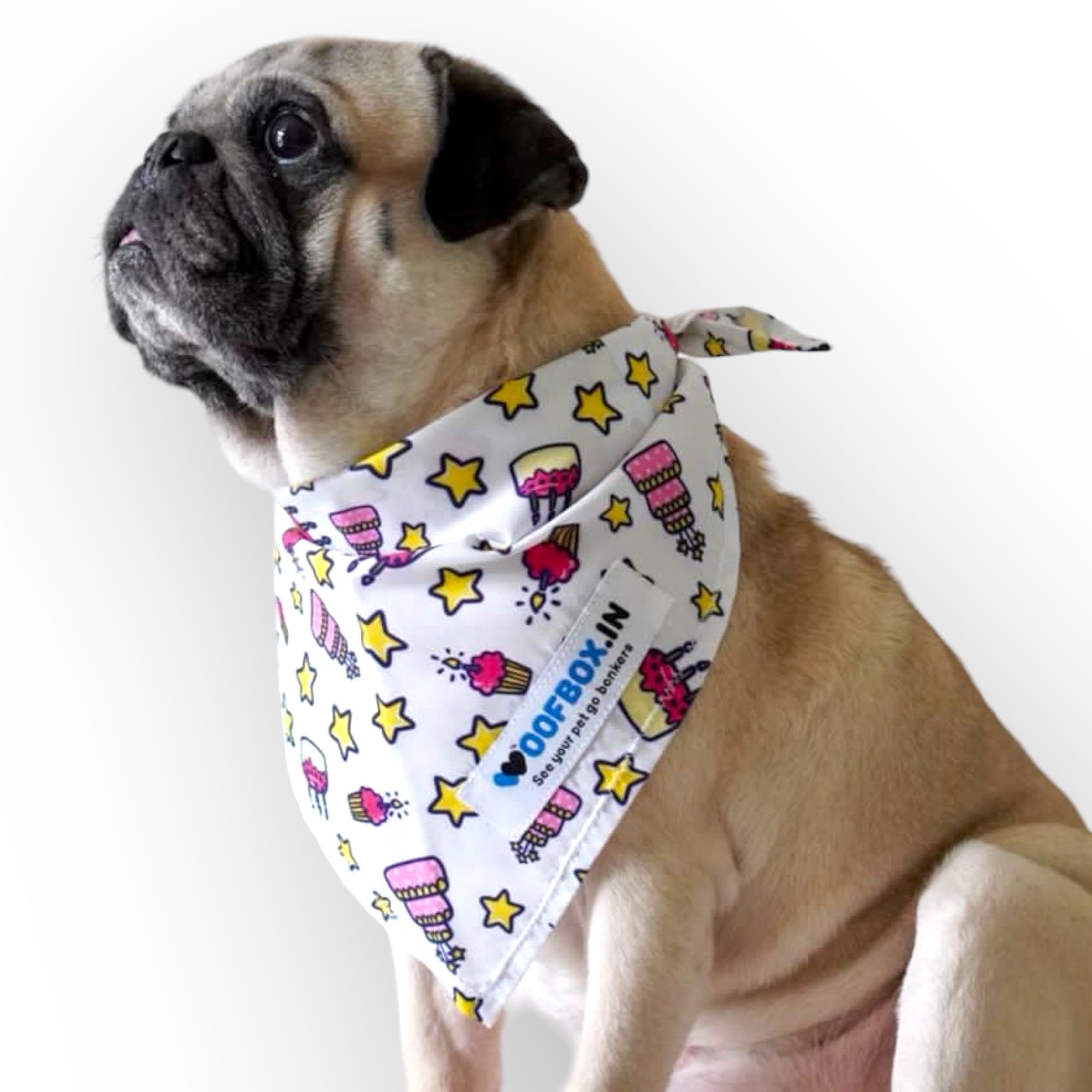 See full amazon price history chart for W Brings Birthday Special Dog Bandana/Scarf with Cakes & Candles | This Stunning Gorgeous Design Dog Bandana Scarf is Perfect Styling Accessory for Dogs One Size Fits All. W Brings Birthday Special Dog Bandana/Scarf with Cakes & Candles | This Stunning Gorgeous Design Dog Bandana Scarf is Perfect Styling Accessory for Dogs One Size Fits All. (B0BNMK7GVJ) Amazon Price History, Amazon Price Tracker