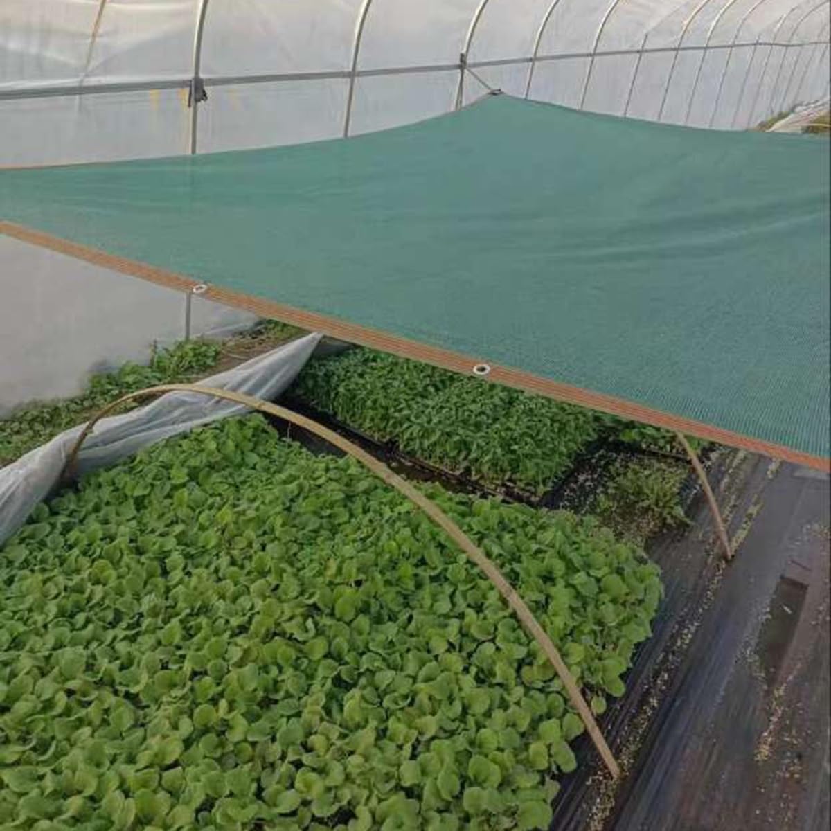Tasso di ombreggiatura 90% Rete Ombreggiante Verde Tessuto Ombra Protezione Dai Raggi UV Telone Ombreggiante Parasole per Esterni Terrazza Pergola Serra 1x2m 2x3.0m 4x5m 6x7m 8x9m 9x10m(2X5m)