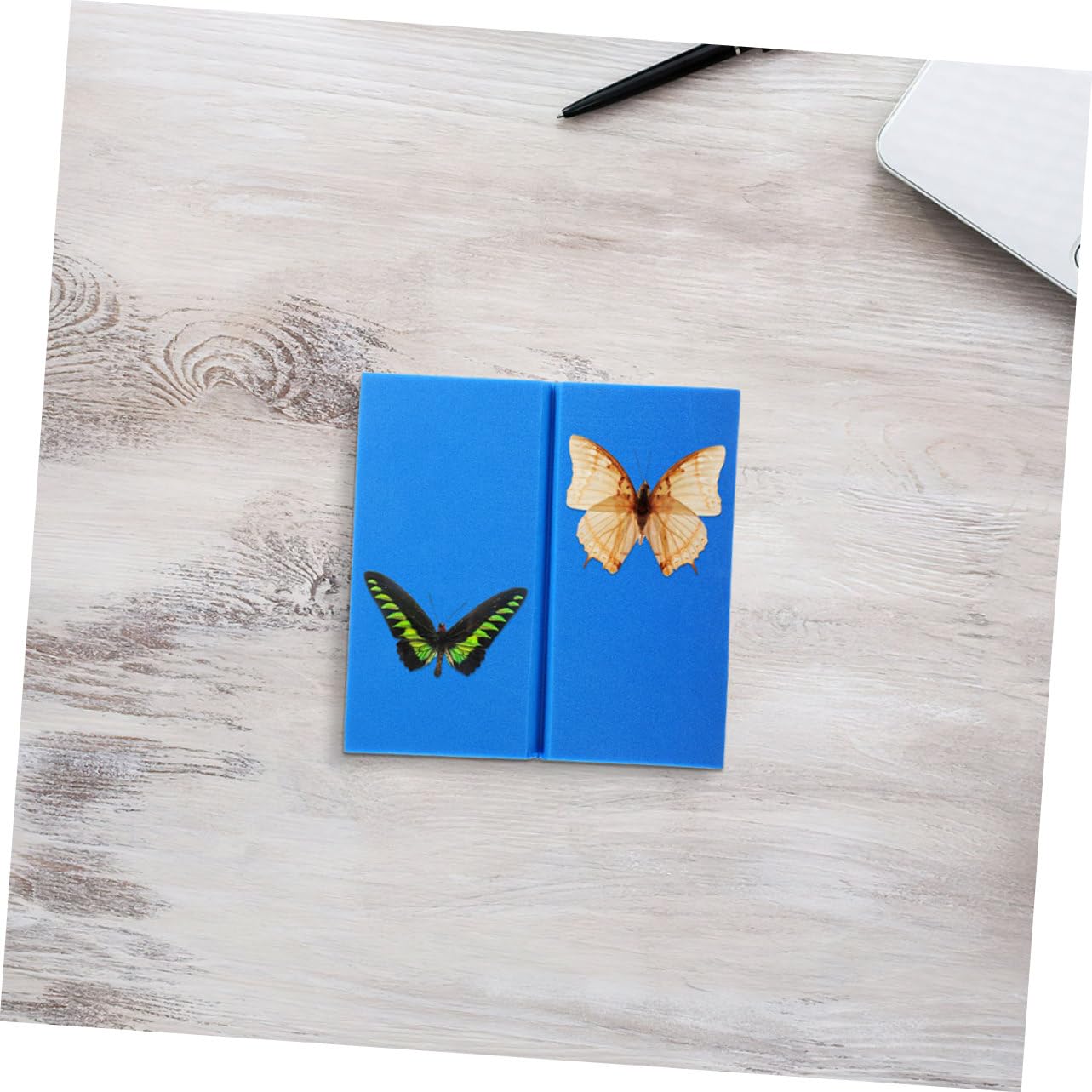 Zerodeko 2pcs Eva Foam Insect Pinning Board Kit for Butterfly Specimens Lightweight Fixation Tools for Classroom Teaching and Entomology Projects for Displays and Collections