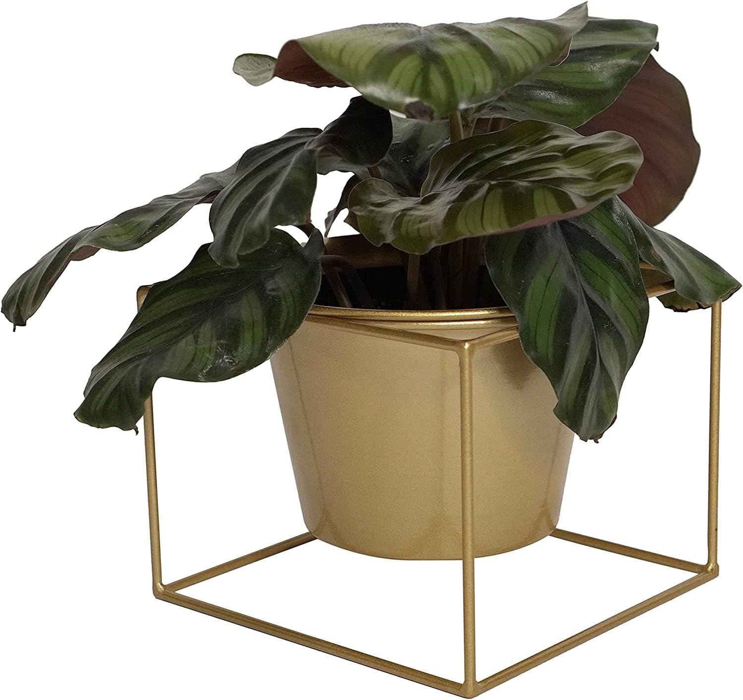 Metal Square 6" Home Garden Flower Plant Holder Removable Pot Stand, Gold 2 Pack