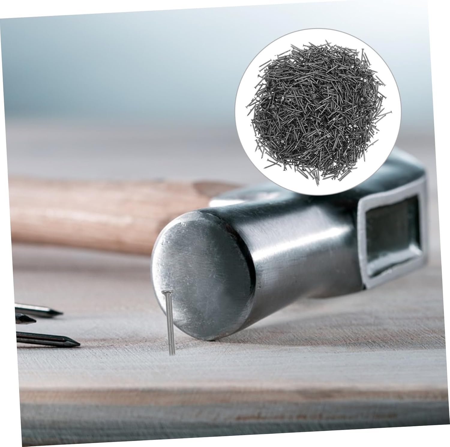 1bag Stainless Tip Nails Kit Assorted for Concrete Woodworking and Picture Hanging Nails for Easy Installation Approx