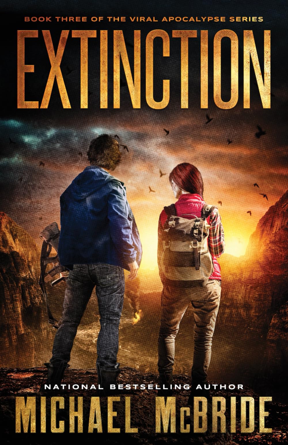 Extinction: Book Three of the Viral Apocalypse Series