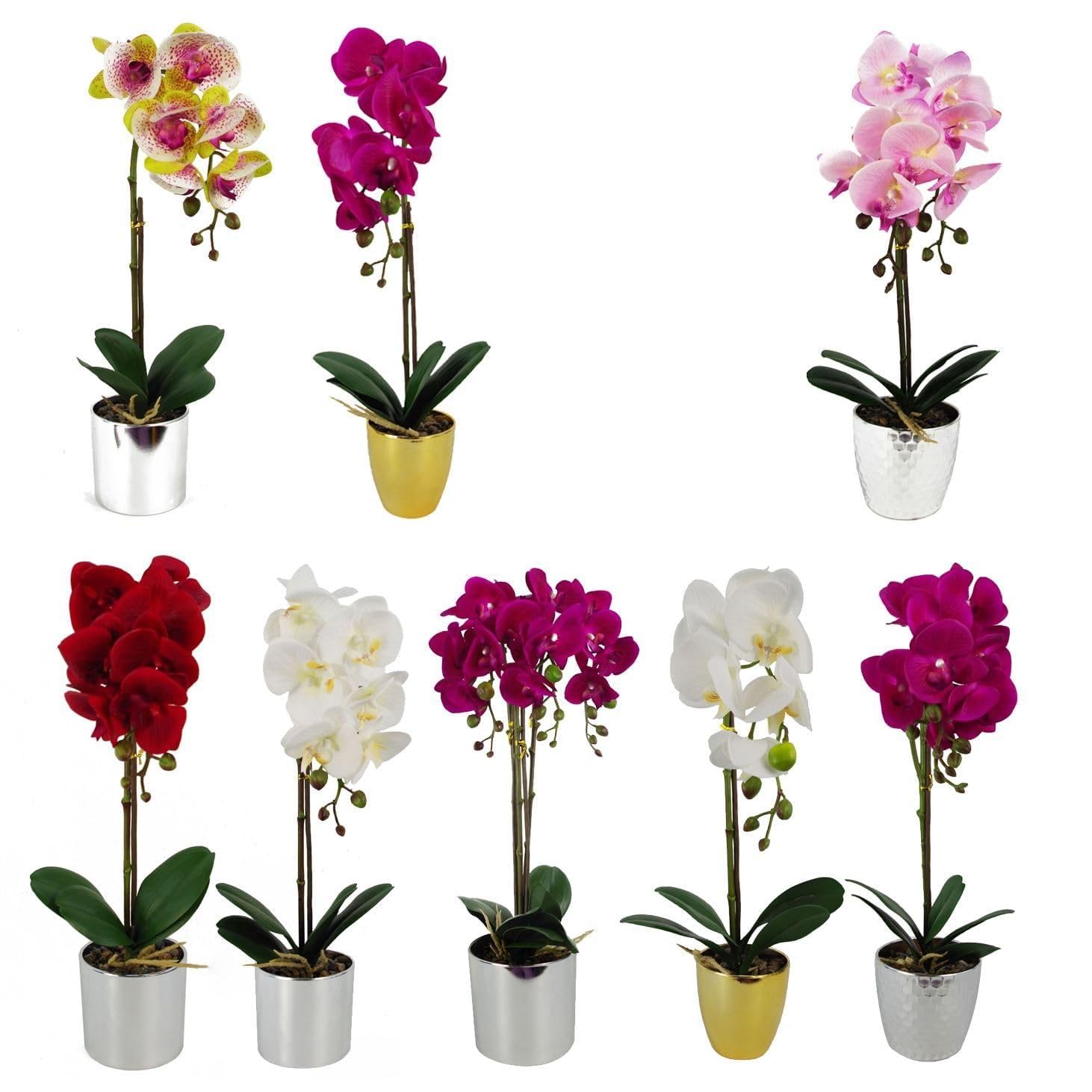 Orquídeas artificiales sin riego macetas Leaf pack de 8 para estanterías sin luz