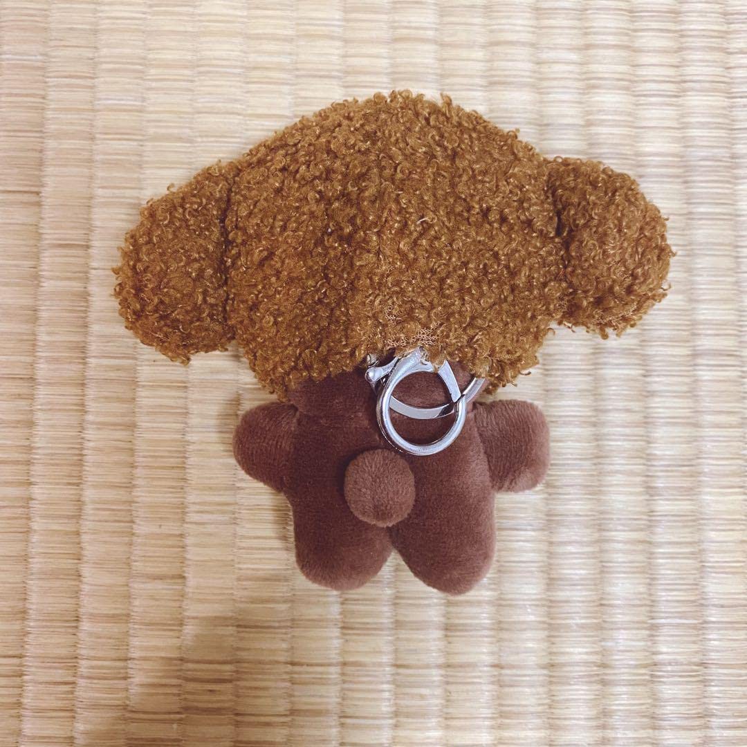 Amazon.co.jp: TXT ボムギュ ぬいぐるみZ : おもちゃ