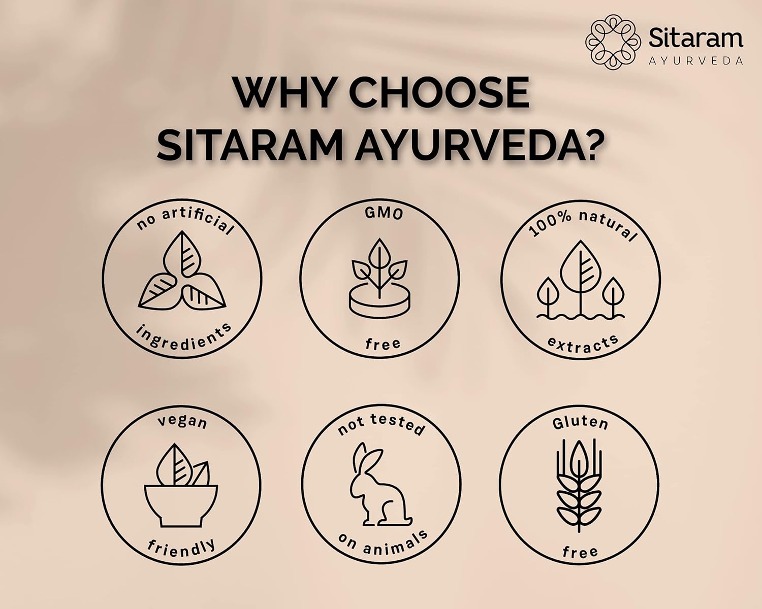 Sitaram Ayurveda Ashta Choornam 50Gms | Herbal Ayurvedic App...
