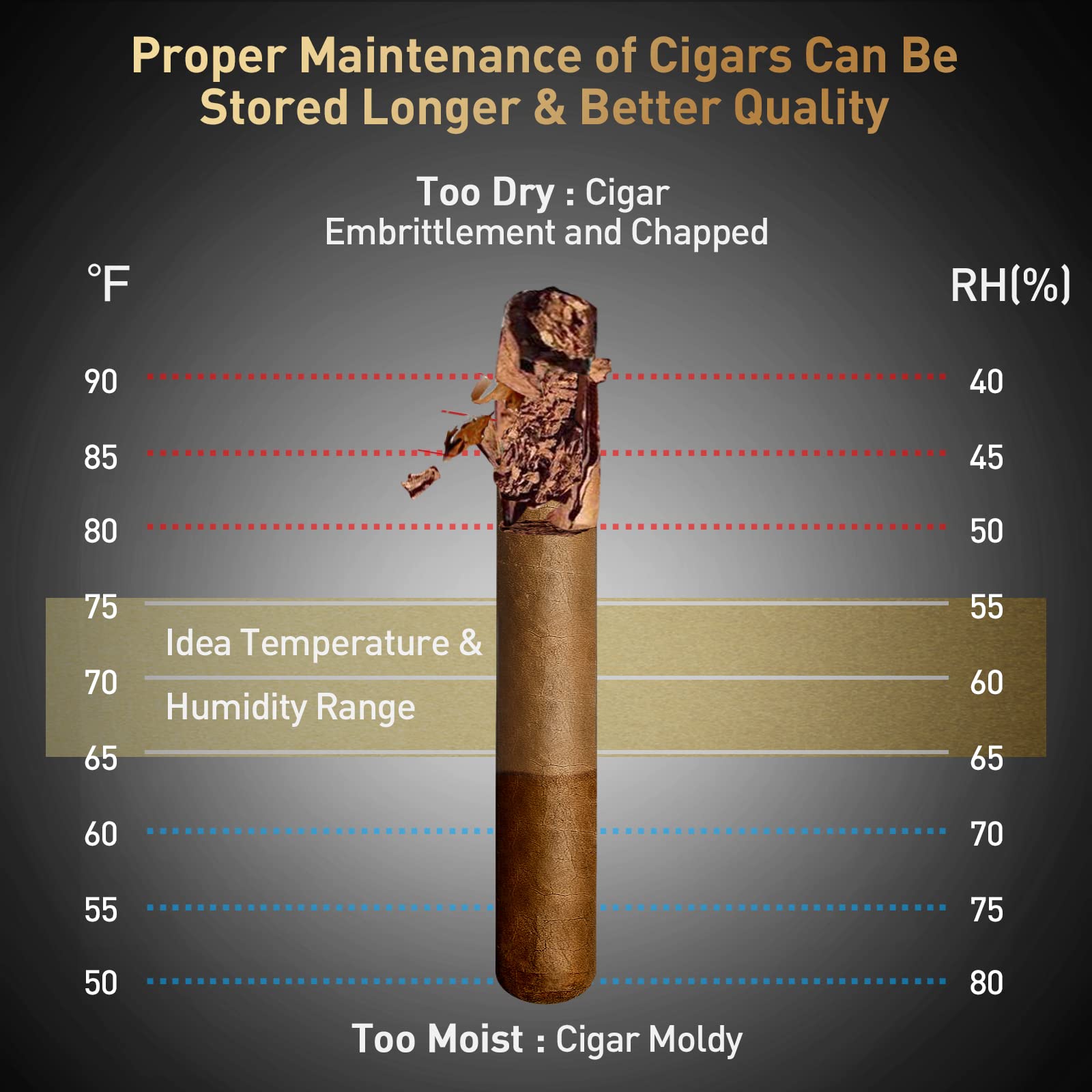 Buy NEEDONE 48L Cigar Humidor, Electronic Cigar Cooler Humidor,300