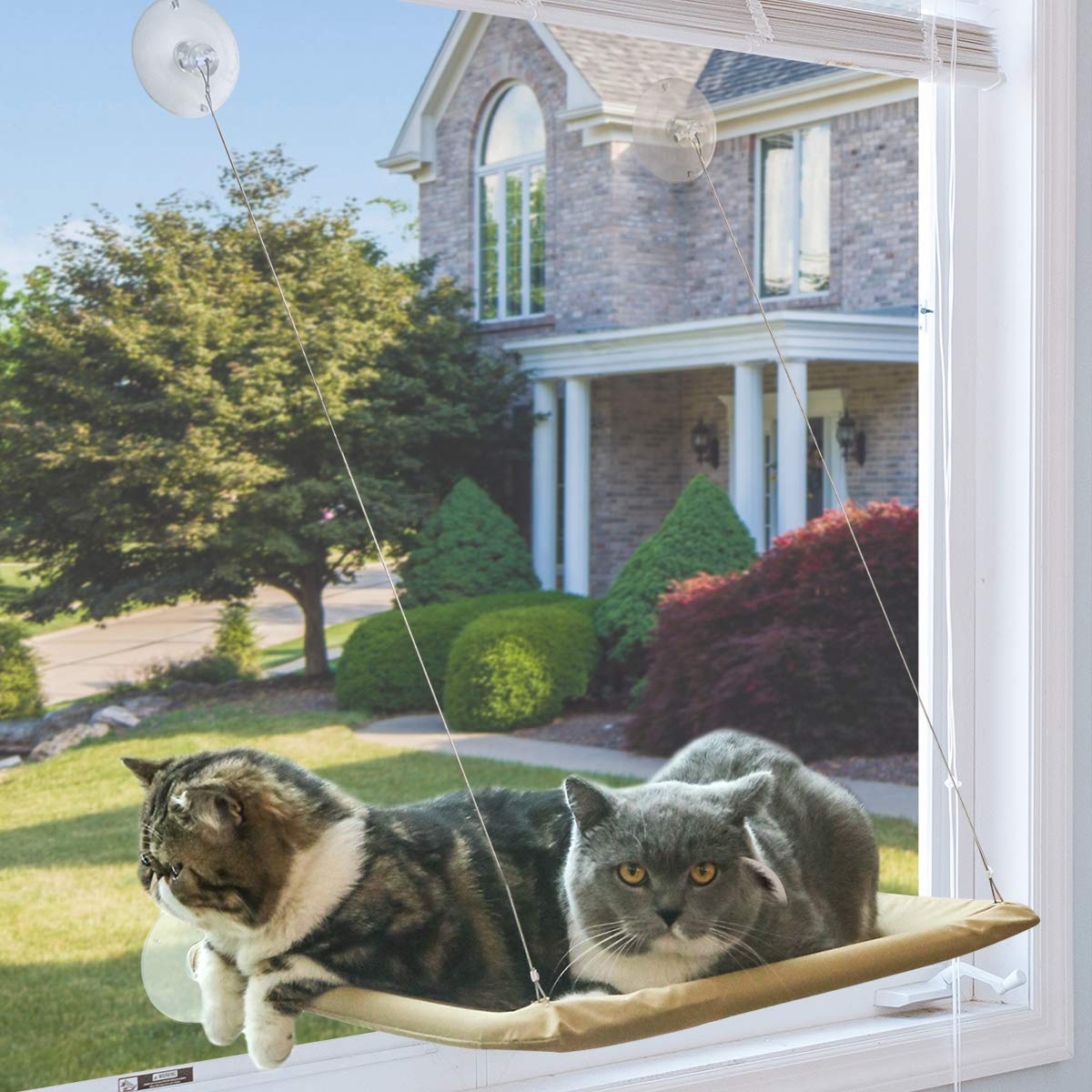 cat suction cup window perch