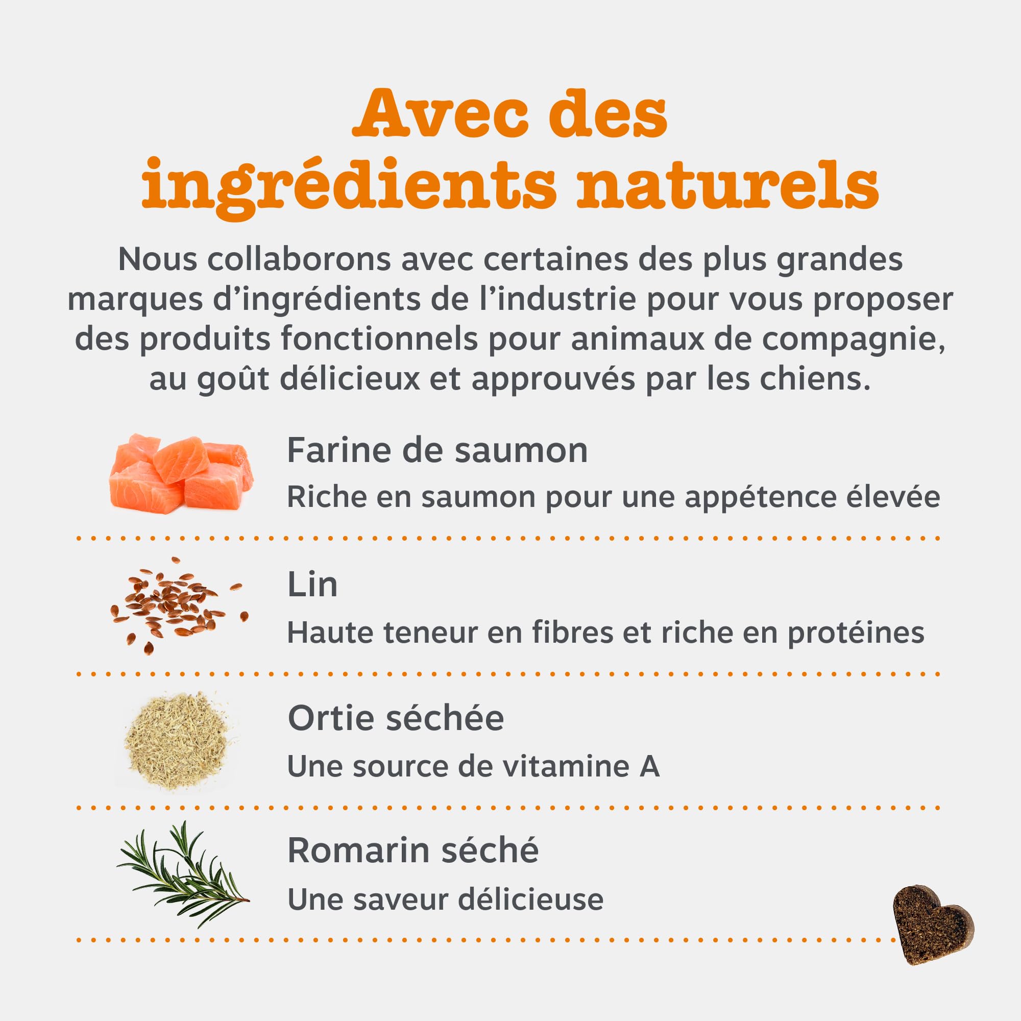 Zesty Paws Bouchées Anti-Démangeaisons pour Chien | Apaise Peau, Pattes & Oreilles Irritées | Soutient Immunité, Digestion et Peau | Avec Huile de Saumon & Probiotiques | Usage Quotidien | 90 Bouchées