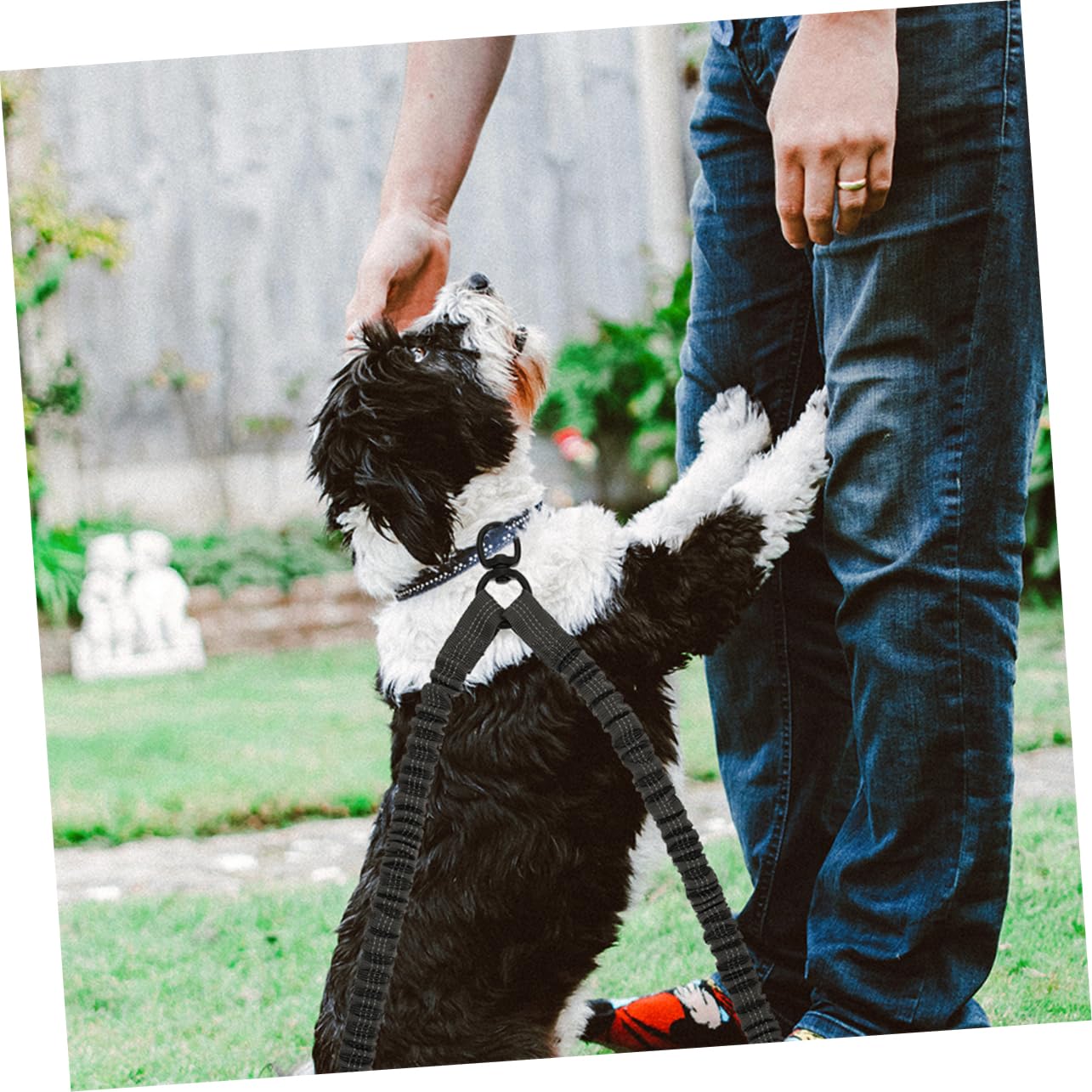Correa Doble Reflectante Paquete de 3 Unidades para Perros y Cachorros, Cuerda de Tracción de Poliéster y Acero Inoxidable, Control Manual para Paseos al Aire Libre