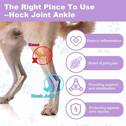 Miniatura 2 de Soportes cortos para patas traseras para perros, soporte para piernas de perro para lesiones en las articulaciones, protección contra esguinces