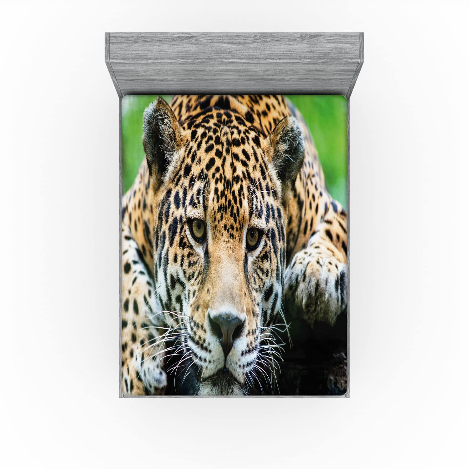 Ambesonne Jungle 2 Pack Fitted Sheet, Jaguar Wildcat Feline, Bed Cover All-Round Elastic Deep Pockets 2 Pieces, Package Contains 2 California King Fitted Sheets, Green Orange