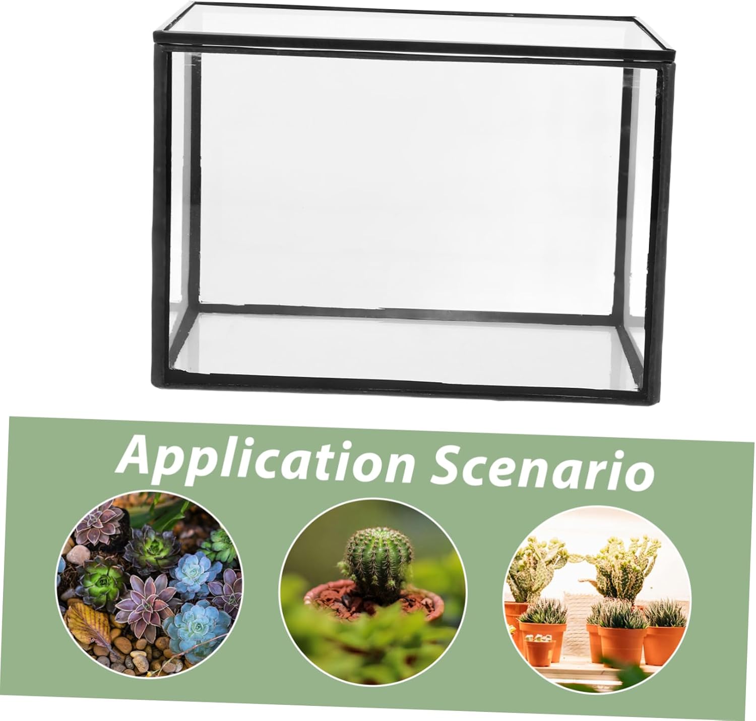 Terrarium Moss Landscape Container Small Terrarium for Home Plant Glass Container