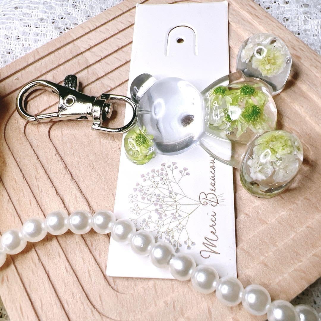 Amazon.co.jp: うる艶かすみ草ドライフラワー押し花クリアくま