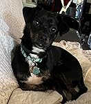 Review Image by Betty Betty