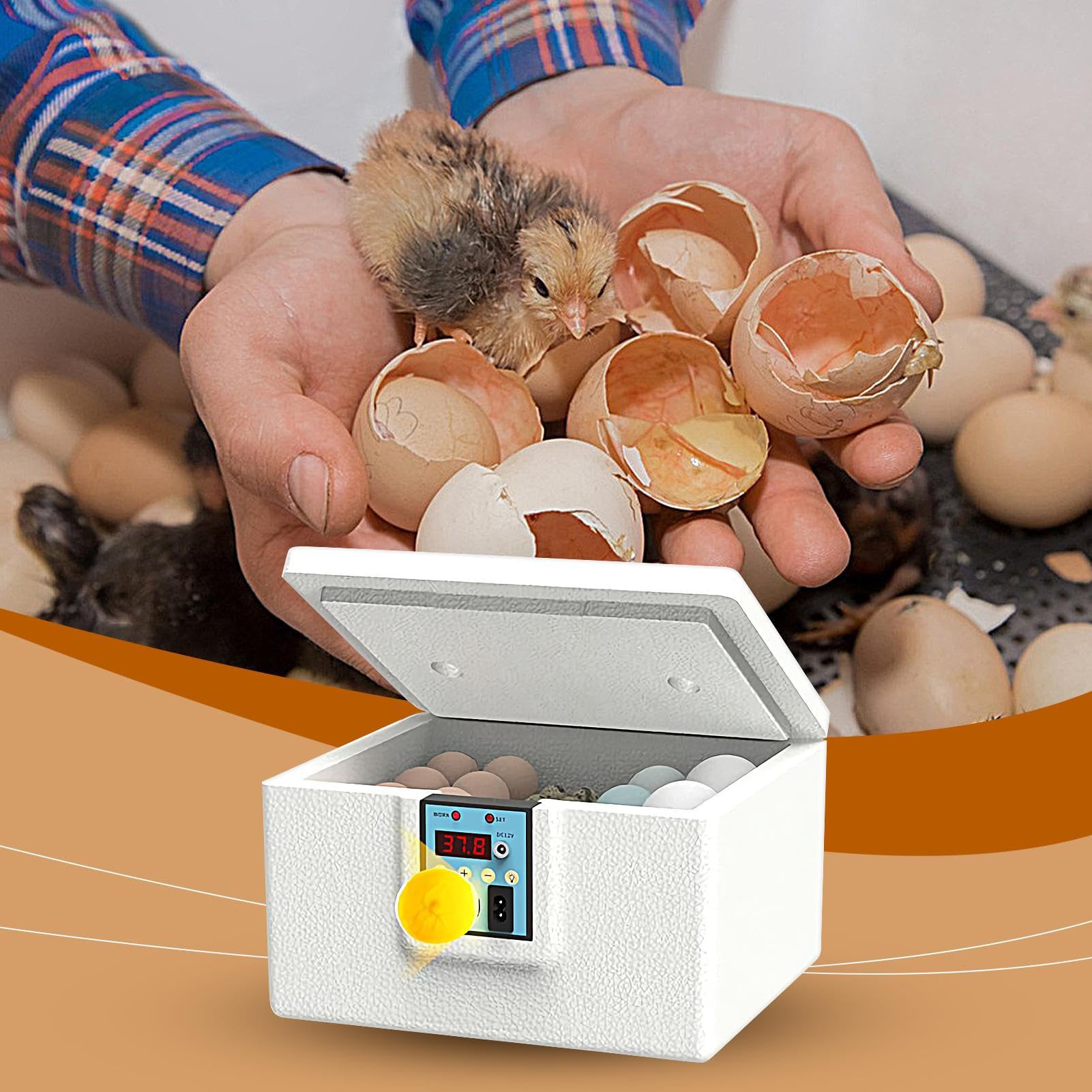 Incubatrice Per Uova | Riscaldato Intelligente Per Pulcini,Controllo Temperatura Automatico Con Schiusa In