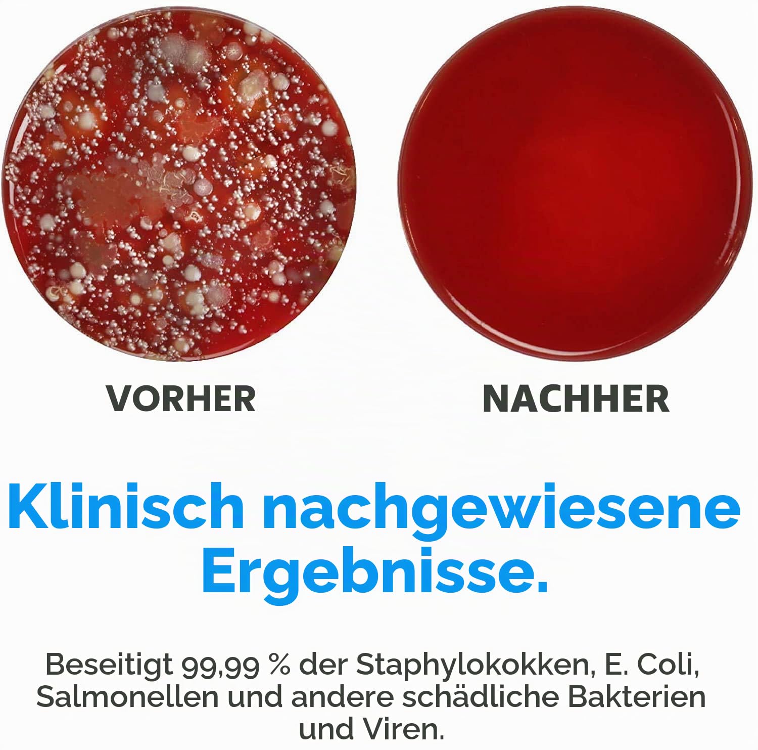 PhoneSoap 3 Uv-Smartphone-Desinfektionsmittel Und Universal-Ladegerät | Patentierter Und Klinisch Erprobter Uv-Desinfektionsgerät (Immergrün)