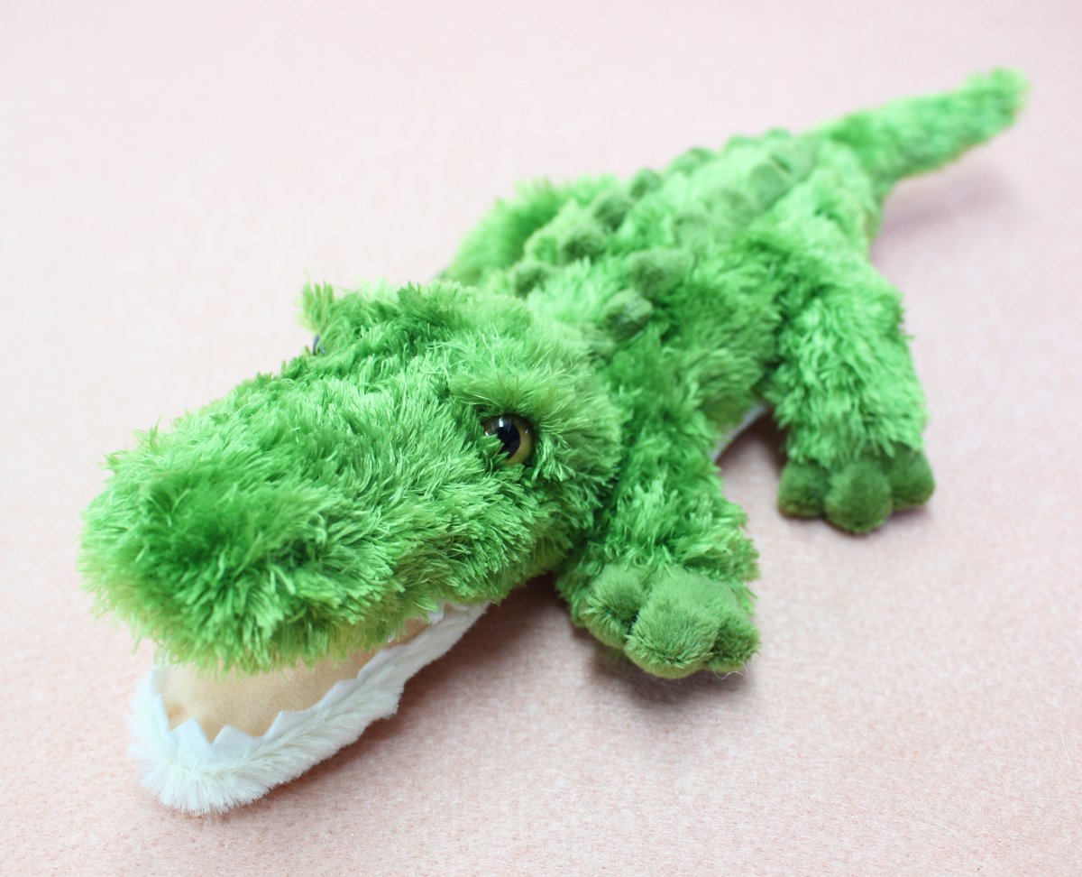 緑色ワニ模型 約30cm Amazon.co.jp: ふわふわ ワニ Mサイズ グリーン : おもちゃ