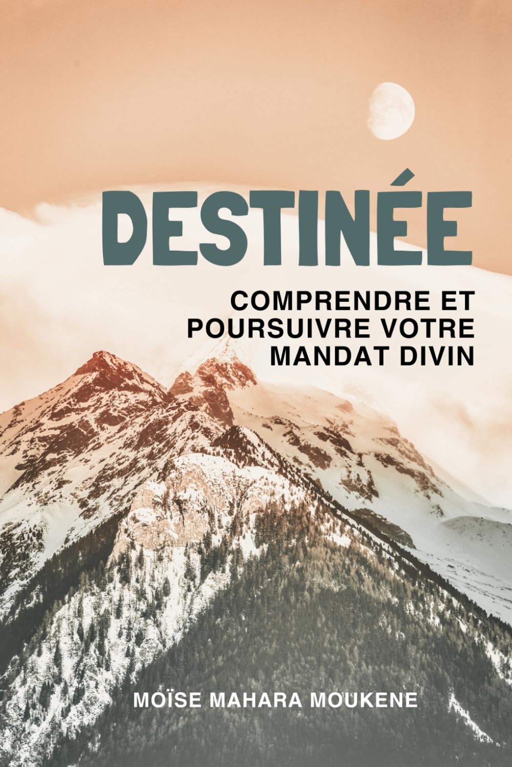 DESTINÉE: Comprendre et poursuivre votre mandat divin (Découvrir et vivre le but de votre existence)