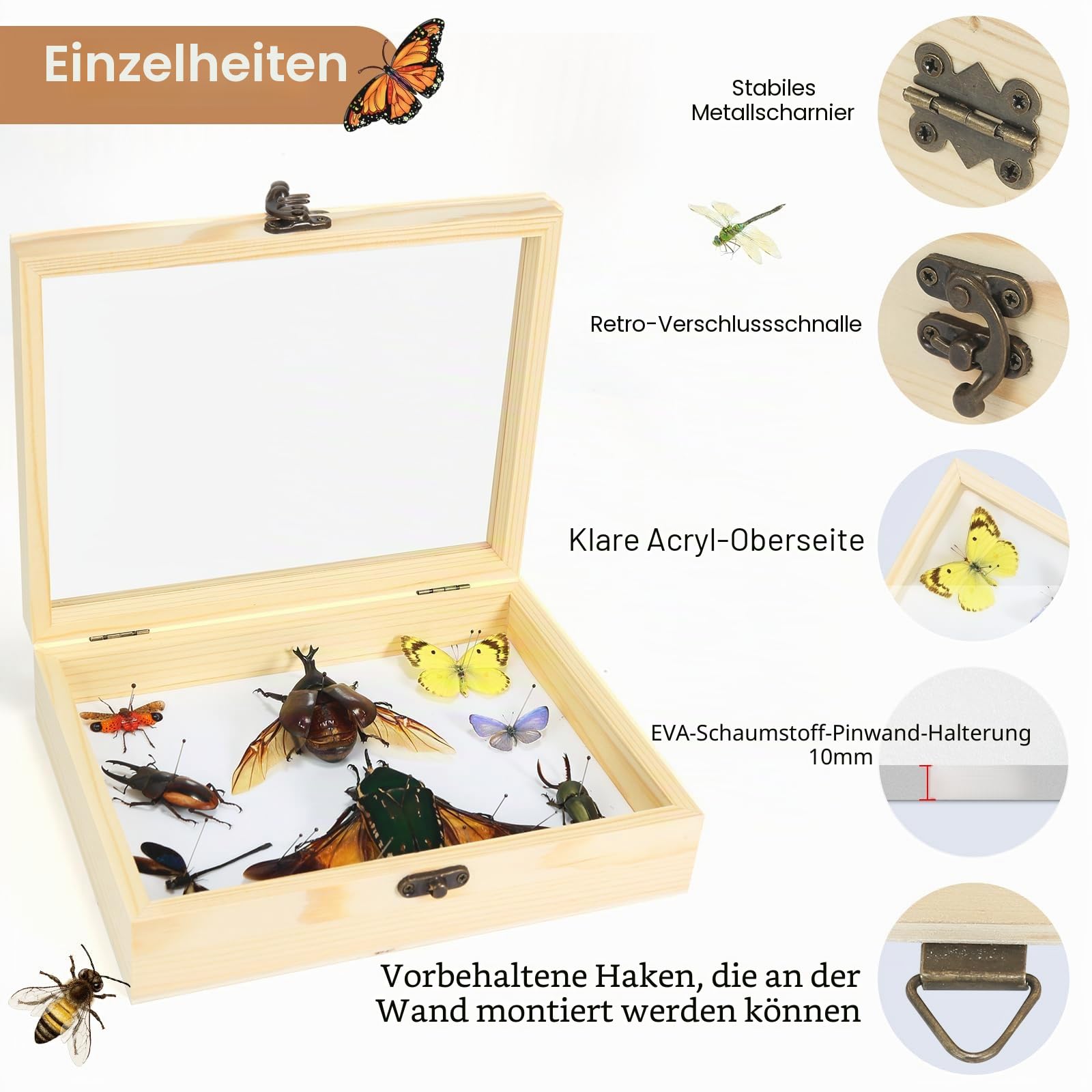 Herstellung von Insektenproben Werkzeug-Set, (Insektennadeln, Insektenschattenbox, Insekten-Pinnbrett, Flügelpresspapier, Pinzette, Schere), Insektenproben-Sammeldisplay für Käfer,