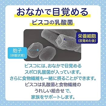 Amazon.co.jp: 江崎グリコ ビスコ 4種40袋 (各種2枚入×10袋