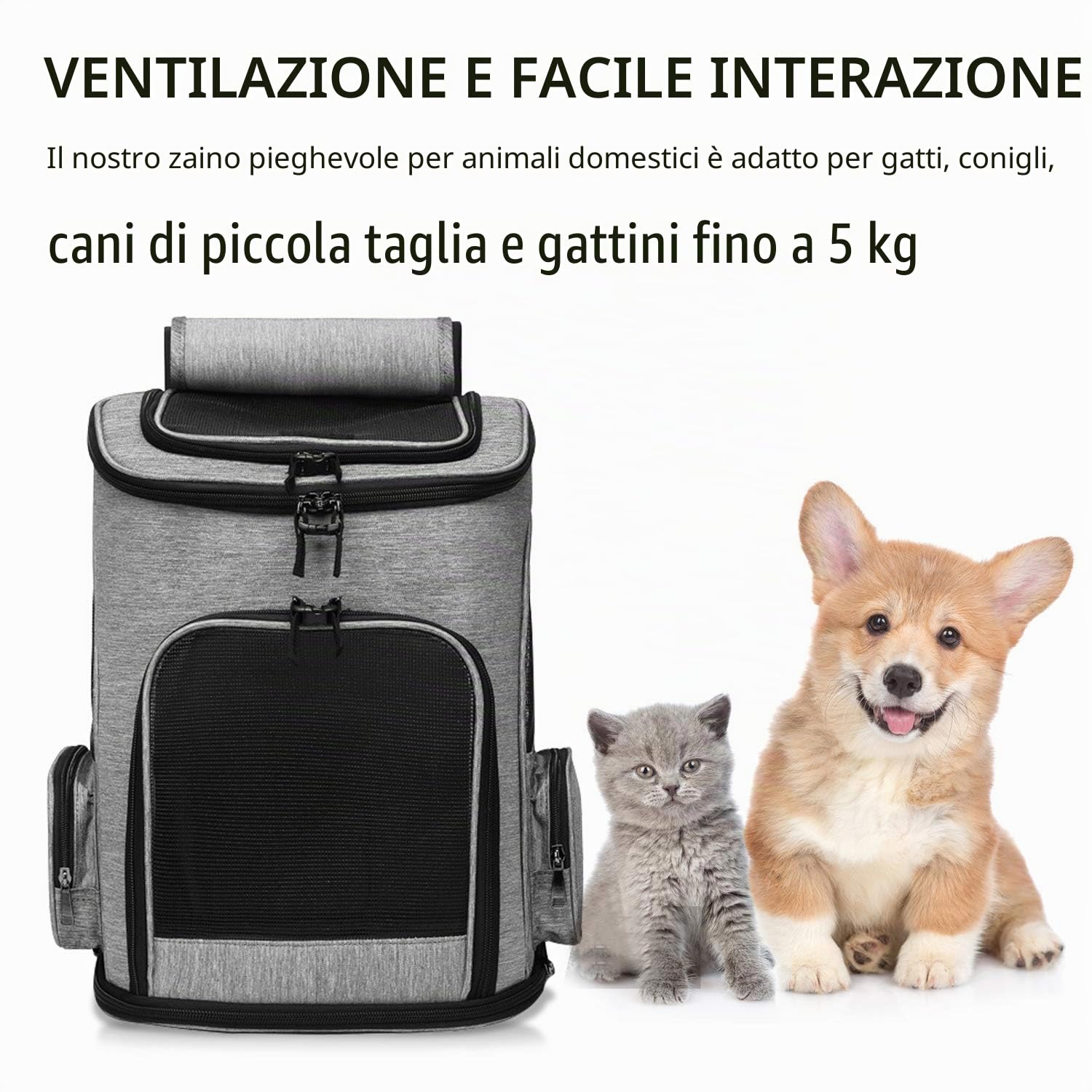 PETCUTE Zaini per Trasporto Cani Gatto,Zaino Borsa da Trasporto per Animali Domestici,Zaino Traspirante Regolabile per Gatto Cane Piccolo,Viaggio Auto Treno,Blu