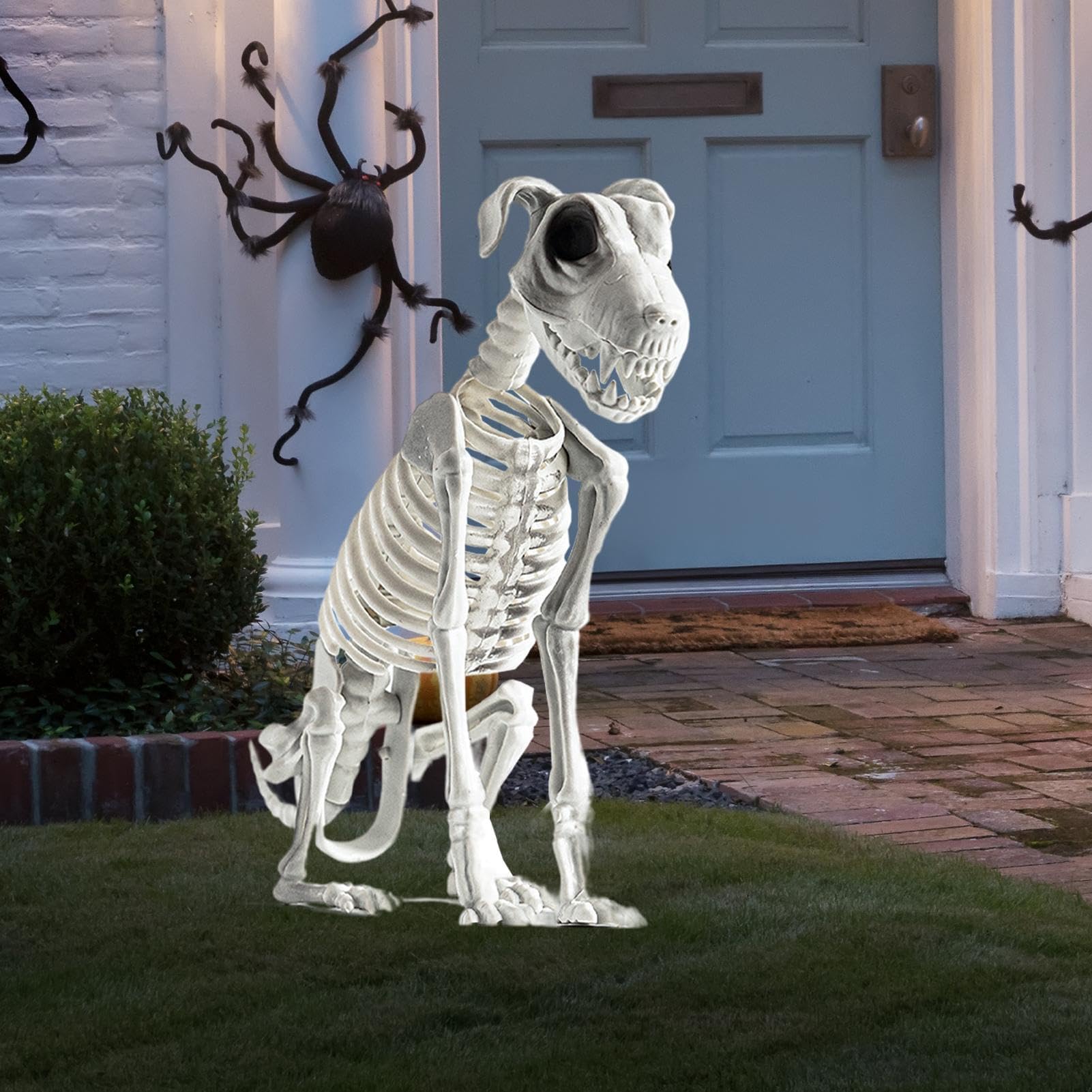 Amazon.co.jp: ハロウィン スケルトン ドッグ 17.32インチ 子犬