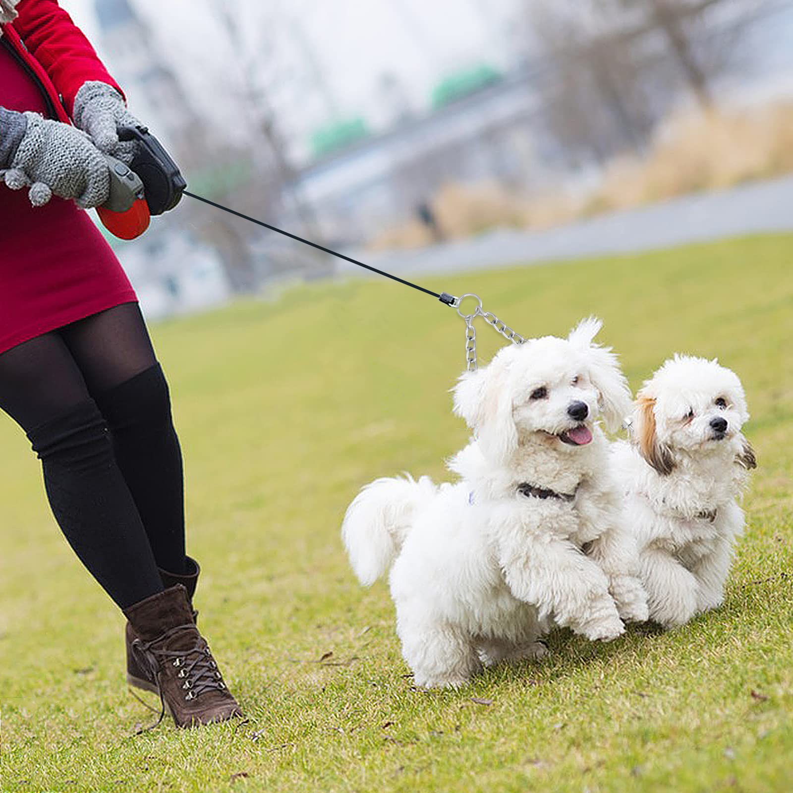 TIESOME Guinzaglio doppio in metallo, resistente, a prova di masticazione, senza grovigli, doppio guinzaglio per cani, prolunga per 2 cani di piccola taglia per camminare (40 cm)