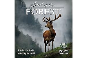 Medieval Calendar 2023: Decorate Your Walls with Enchanting Imagery