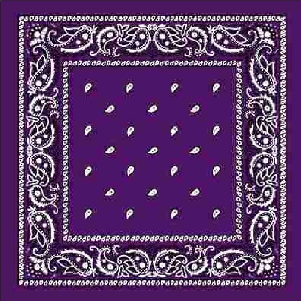 Pure Soft Pure Soft Breathable Double Side Printed Multifunctional Paisley Print Ambi Hanky [Purple] Handkerchief-image-8