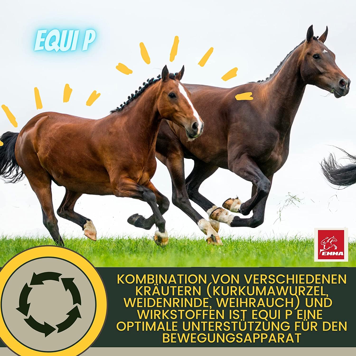 MSM Pferd Weidenrinde Pferd Equi P Booster Vitamin Paste für Gelenke Glucosamin Chondroitin MSM hochdosiert Vitamin C Bierhefe Bewegungsapparat Sehnen Bänder Knorpel Senioren Pferde 4 Stück