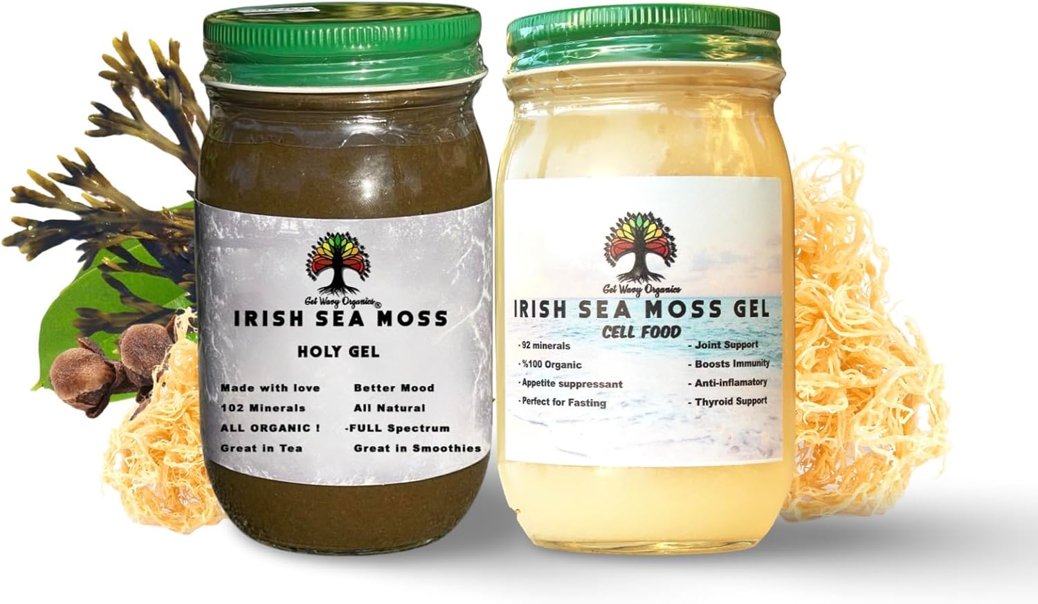 Wildcrafted Irish Sea Moss Gel | Made with Seamoss | Made in USA | Rich in Vitamins & Minerals | 100% Organic Gold Sea Moss Gel Raw (2 Pack)