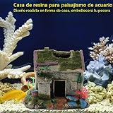 Ver la foto 4