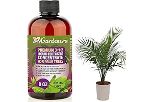 Premium Liquid Palm Tree Plant Food - Best Fertilizer for Beautiful Palm Trees by Gardenera