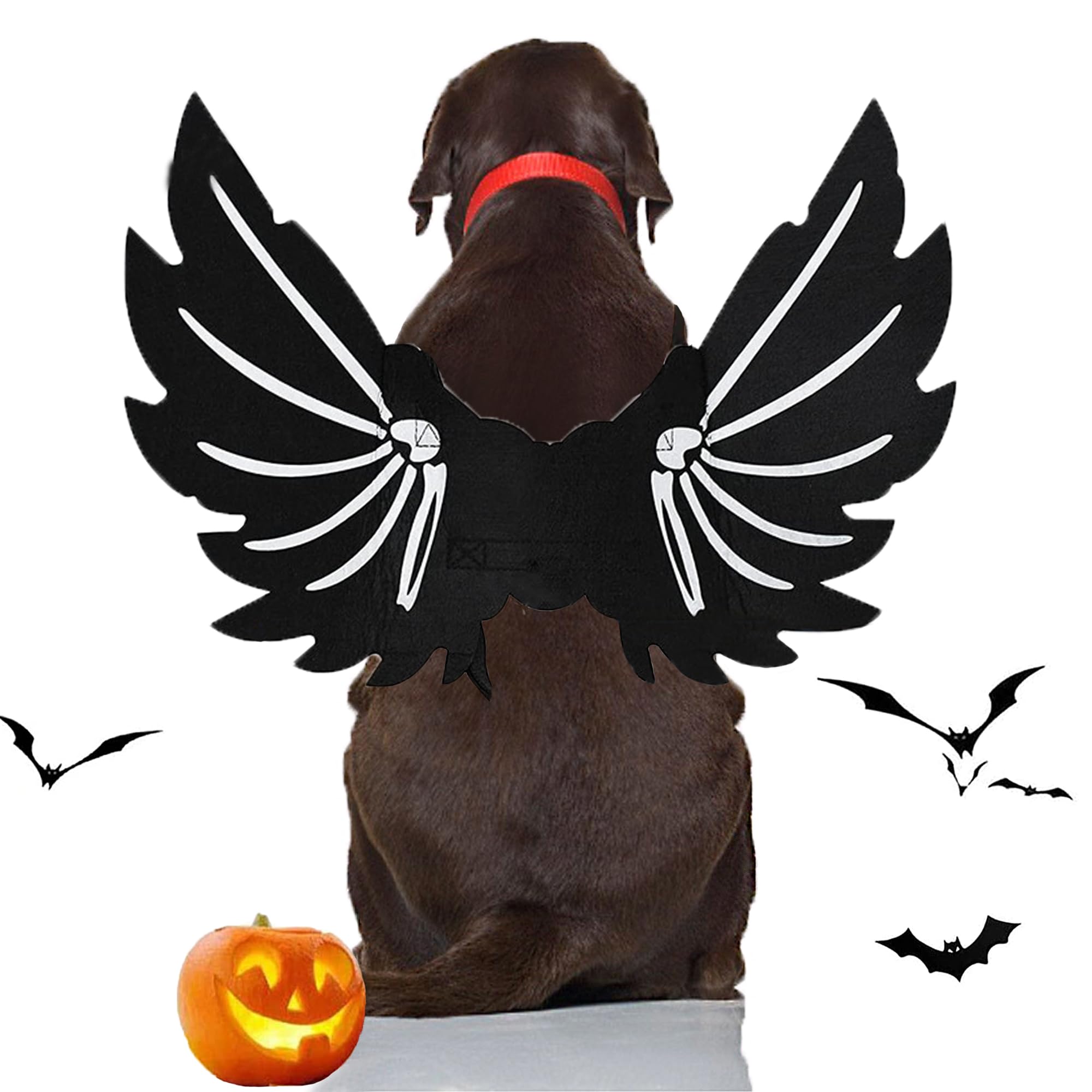 CEASELESLY Alas de Perro, Disfraz de Perro de murciélago de Halloween,Perro de Carnaval,Disfraces de Halloween para Mascotas para Perros medianos Grandes decoración de Cosplay