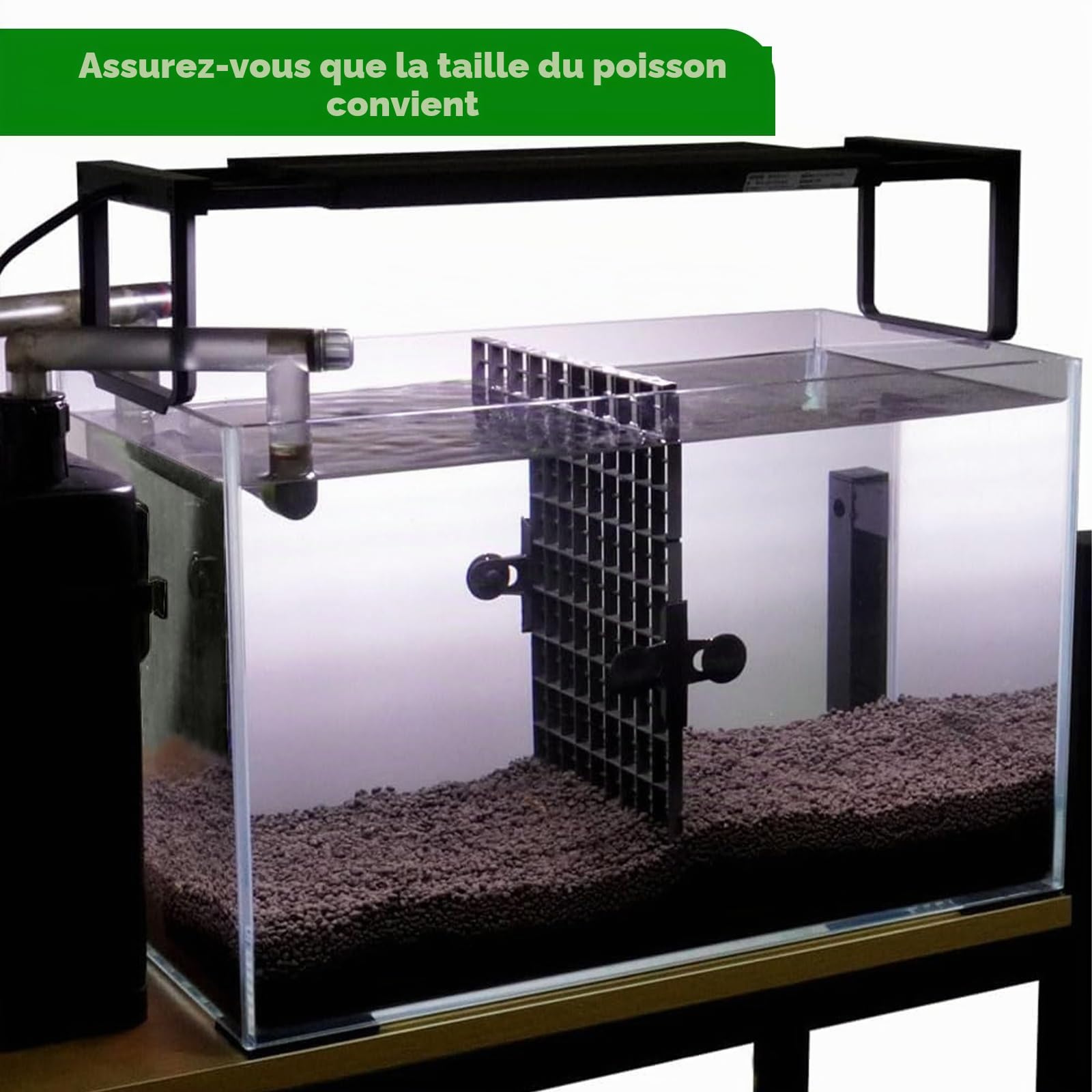 LINLAN 2 pièces grilles en Plastique pour Aquarium - 15 x 30 cm - Séparateurs pour Aquarium - pour Filtration et Protection du Fond - Blanc - sans Accessoires