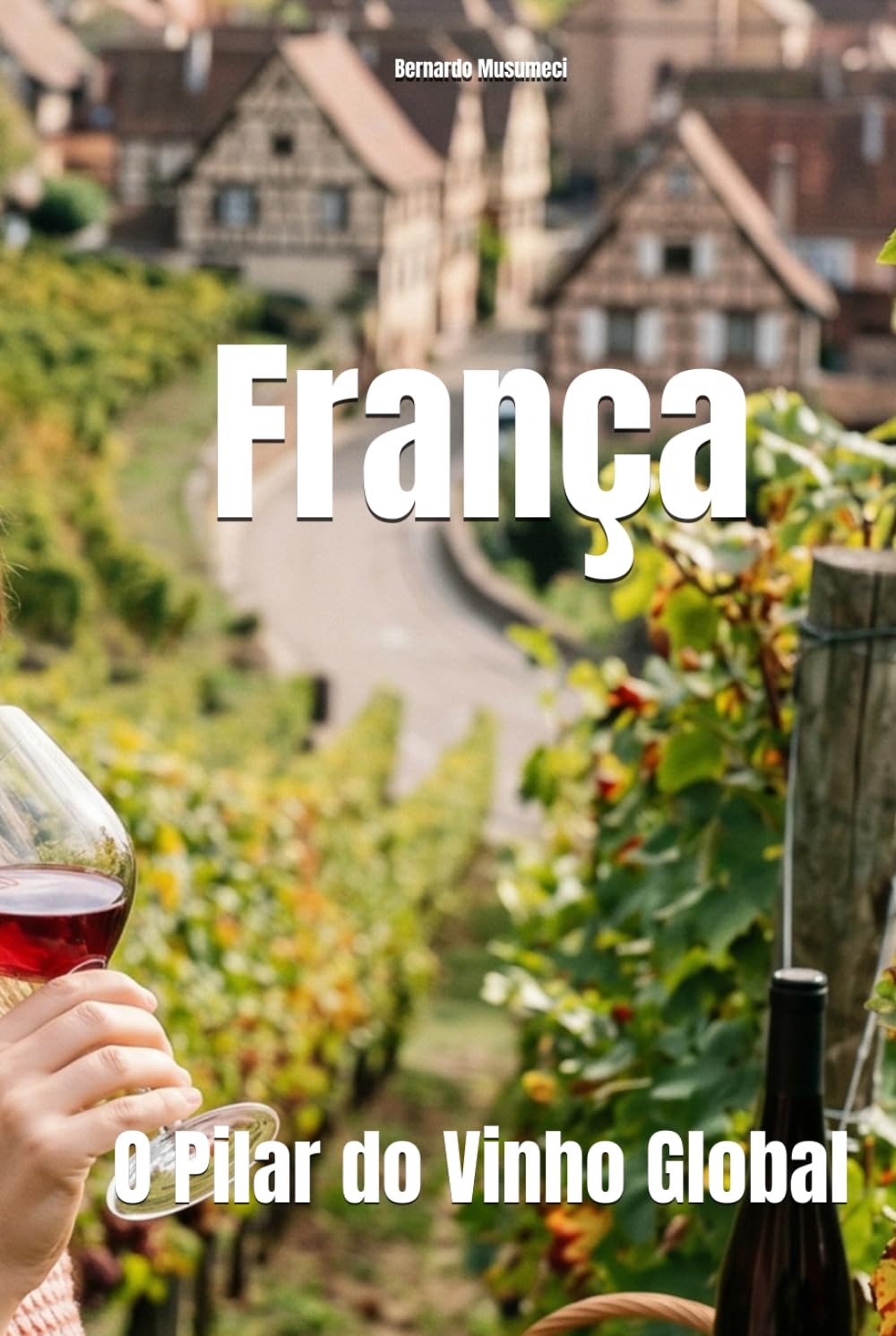 França: O Pilar do Vinho Global (Wines of the World: France)