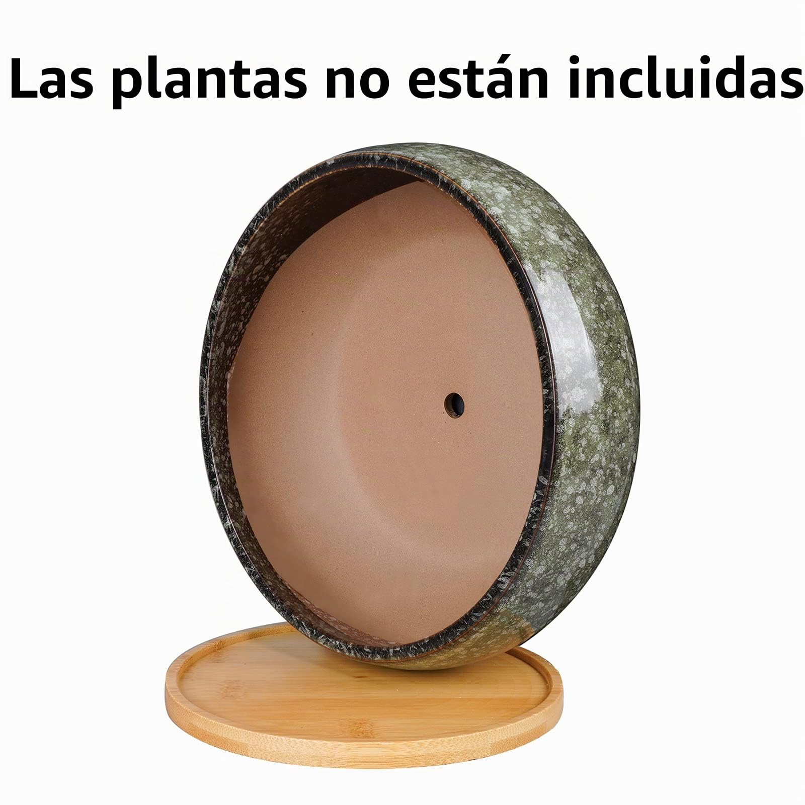 Maceta de cerámica para bonsái de 8 Pulgadas, Maceta suculenta Poco Profunda esmaltada con Agujero de Drenaje y platillo de bambú para Plantas de Interior, Color Verde