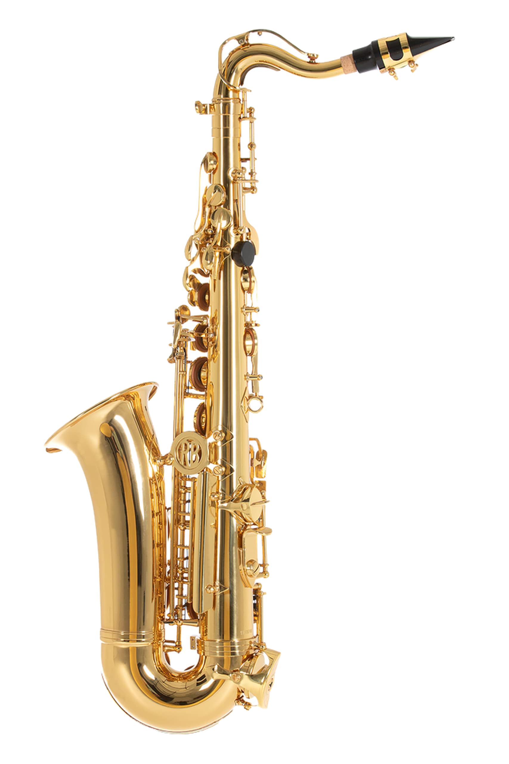 Roy Benson Eb-Alt Kinder Saxophon AS-201 (Speziell für Kinder entworfen, inklusive Putztuch, mit Harness-Tragegurt, im leichten Rechtecketui, mit Rucksackgarnitur)