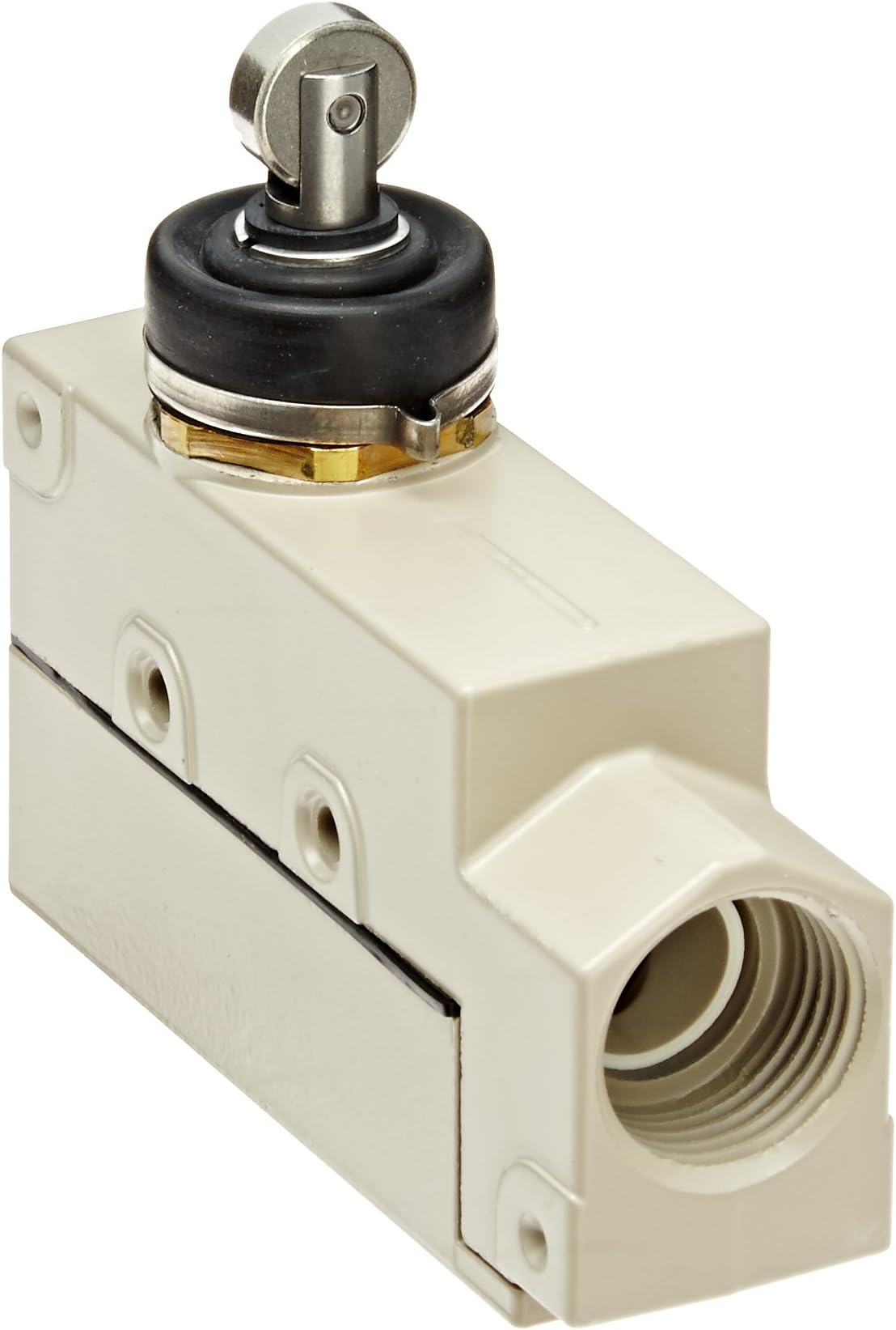 ZE-N21-2S General Purpose Enclose Switch, High Breaking Capacity and Durability, Sealed Cross Roller Plunger, Single Pole Double Throw AC, Side Mounting, 1/2-14NPSM Conduit Size